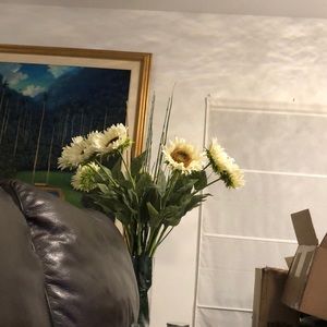 Meet your Posher, Monroe